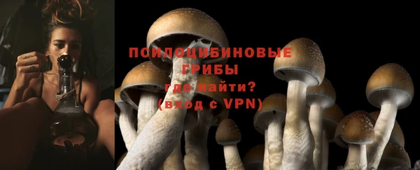 бошки Бородино