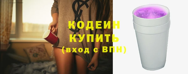 бошки Бородино