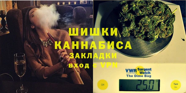бошки Бородино