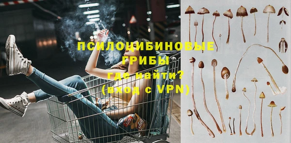 бошки Бородино