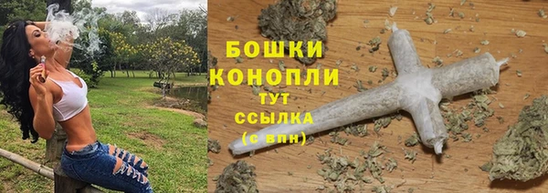 бошки Бородино